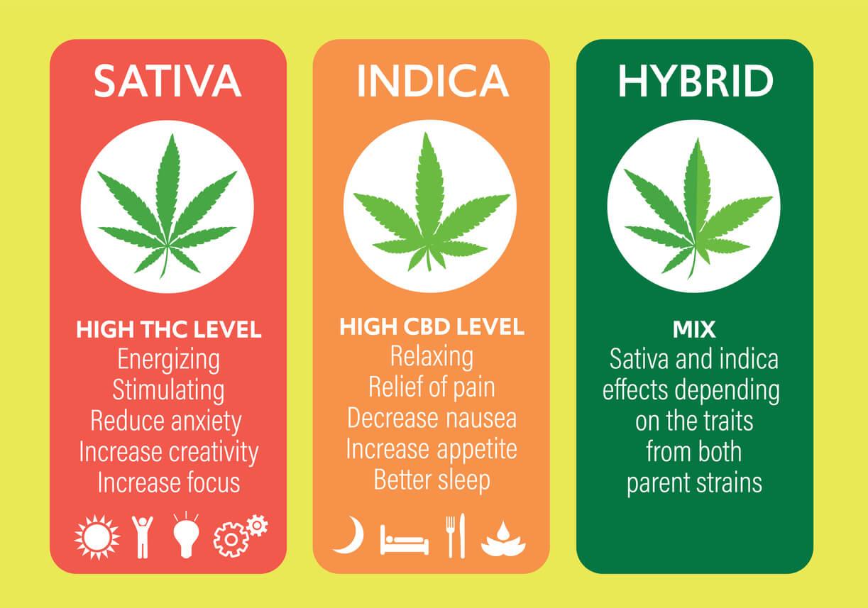 Don't drive high